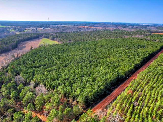 Land for sale in Wrens, Georgia