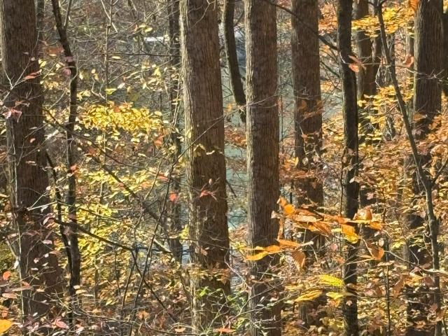 Land for sale in Tennessee