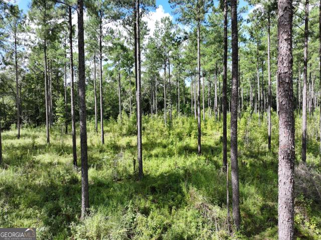 Land for sale in Houston County, Alabama