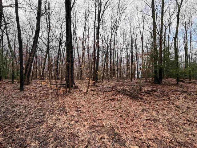 Land for sale in New Hampshire