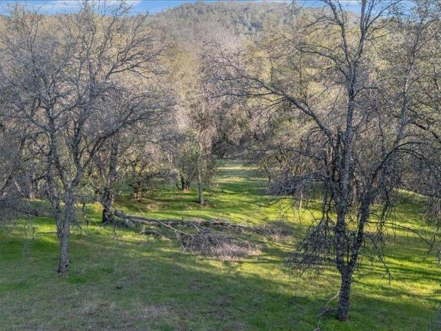 Land for sale in Sonora, California