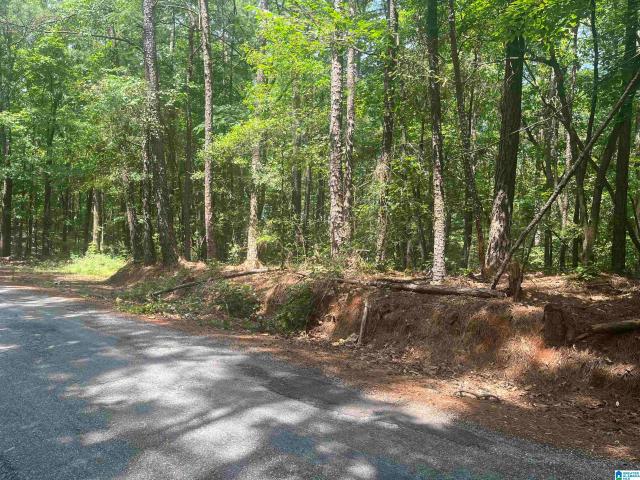 Land for sale in Woodstock, Alabama