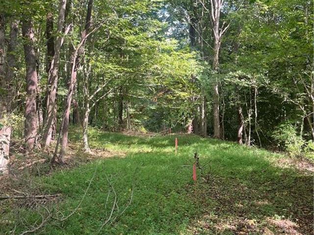 Land for sale in Ramseur, Randolph County