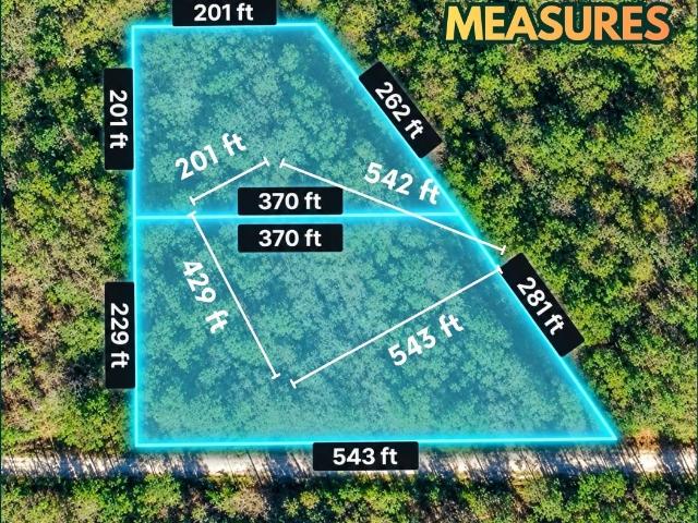 Land for sale in Los Fresnos, Cameron County
