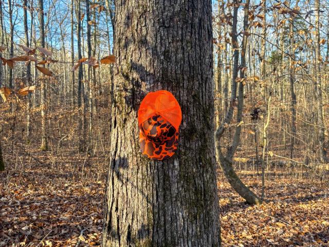 Land for sale in Tennessee