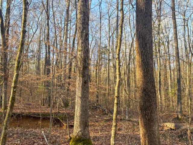 Land for sale in Tennessee