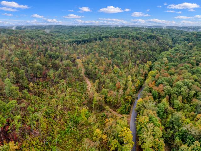 Land for sale in Only, Middle Tennessee
