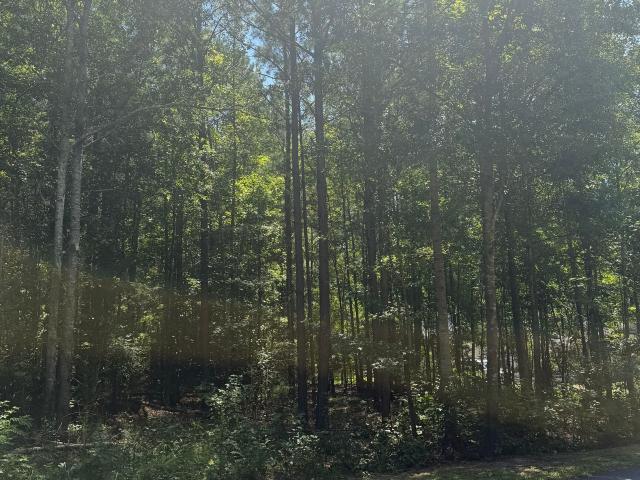 Land for sale in Luthersville, Georgia