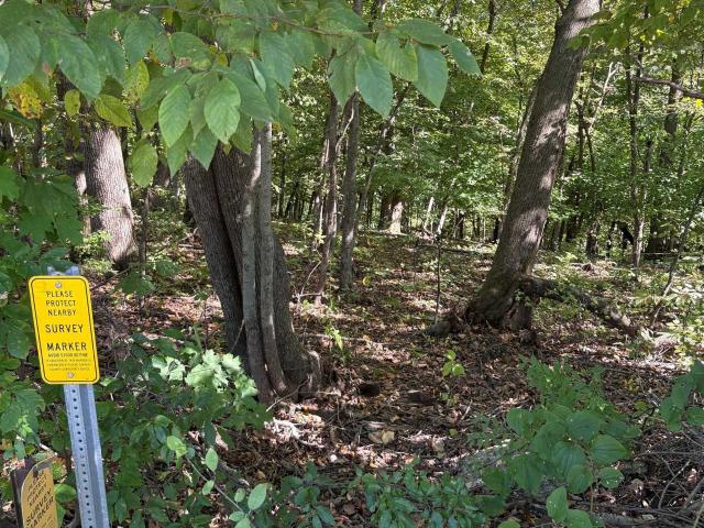 Land for sale in Gays Mills, Wisconsin