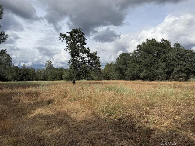 Land for sale in Butte, California