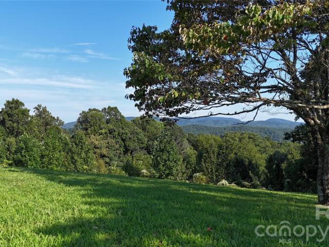 Land for sale in Saluda, North Carolina