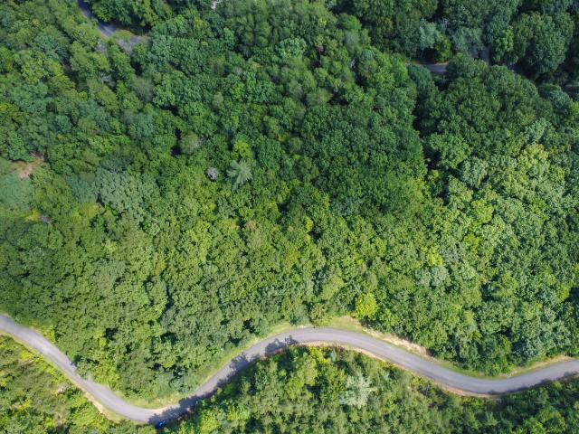 Land for sale in Clarkesville, Habersham County