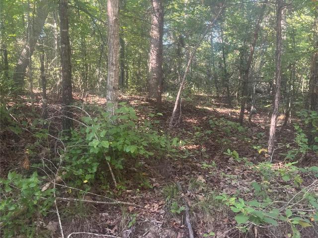 Land for sale in Smyrna, South Carolina
