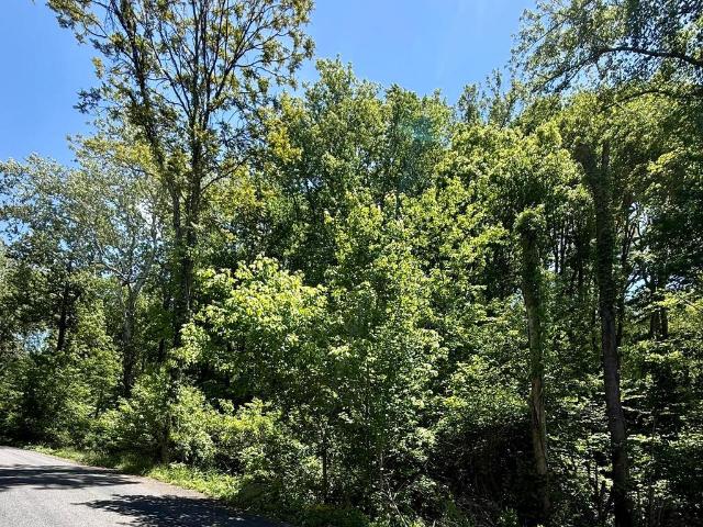 Land for sale in Virginia