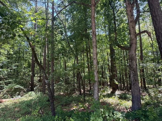 Land for sale in Monticello, Georgia