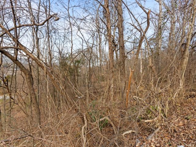 Land for sale in Tennessee