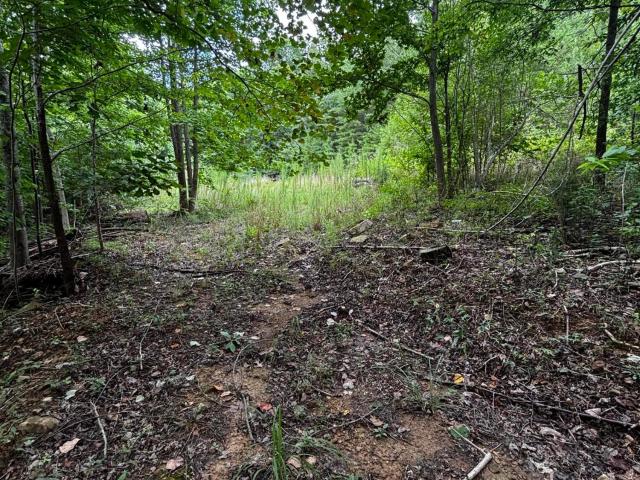 Land for sale in Tennessee