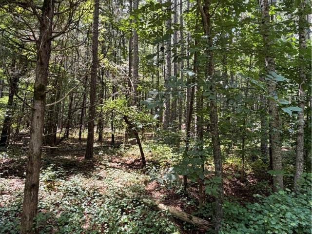 Land for sale in Georgia
