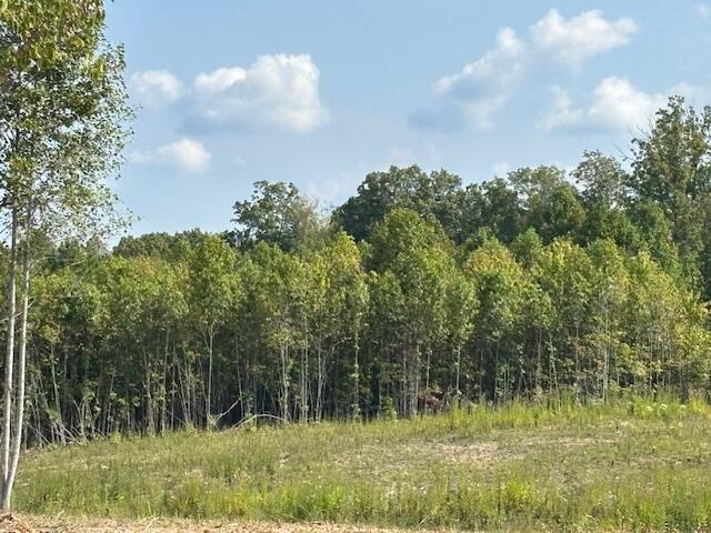 Land for sale in Tennessee
