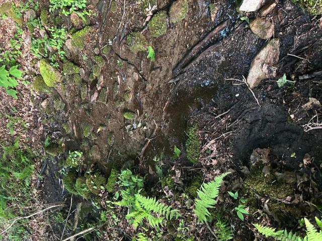 Land for sale in North Carolina
