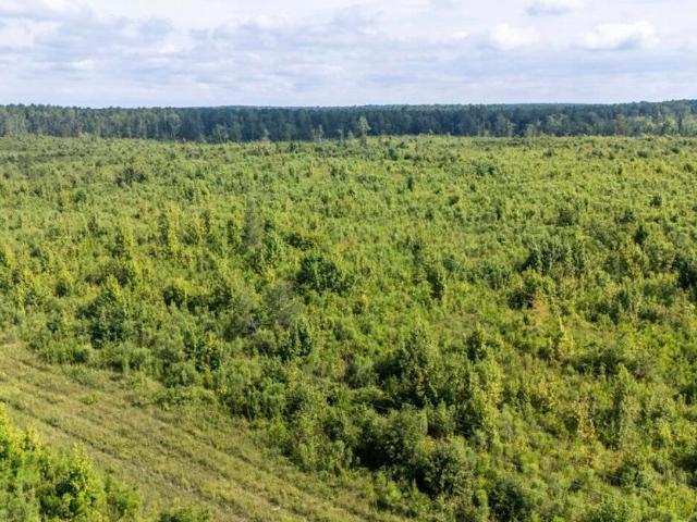 Land for sale in Edgefield, South Carolina
