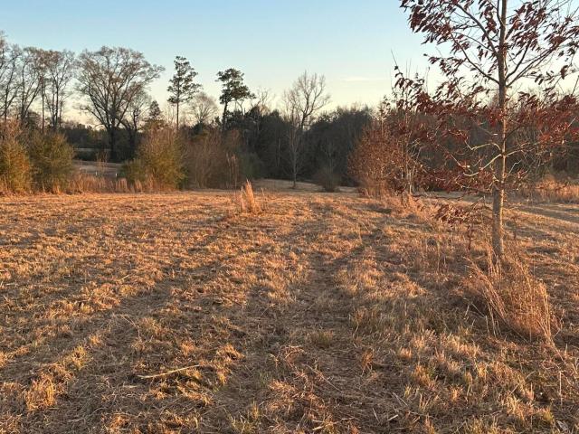 Land for sale in Poplarville, Mississippi