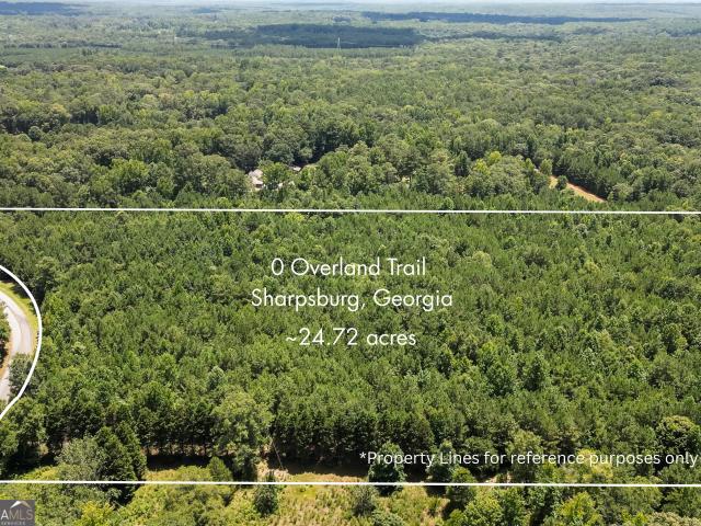 Land for sale in Sharpsburg, Georgia