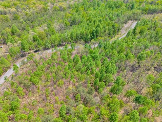 Land for sale in Tennessee