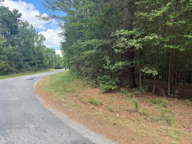 Land for sale in Cadiz, Kentucky