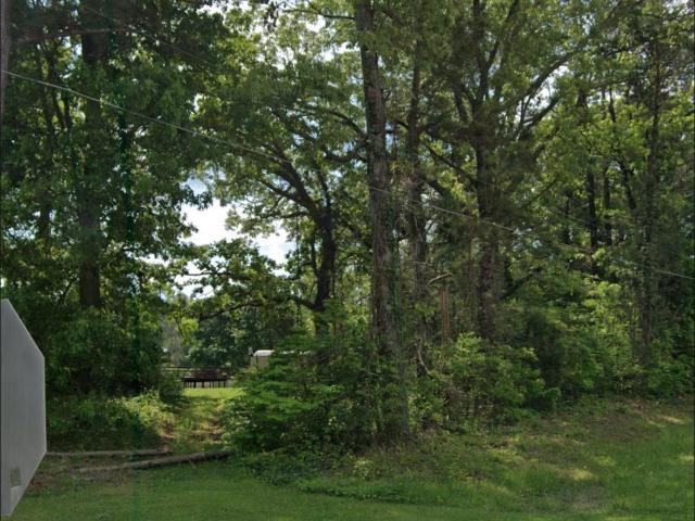 Land for sale in Ashland, Alabama