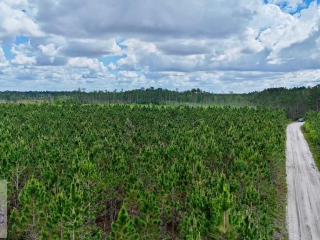 Land for sale in Odum, Georgia