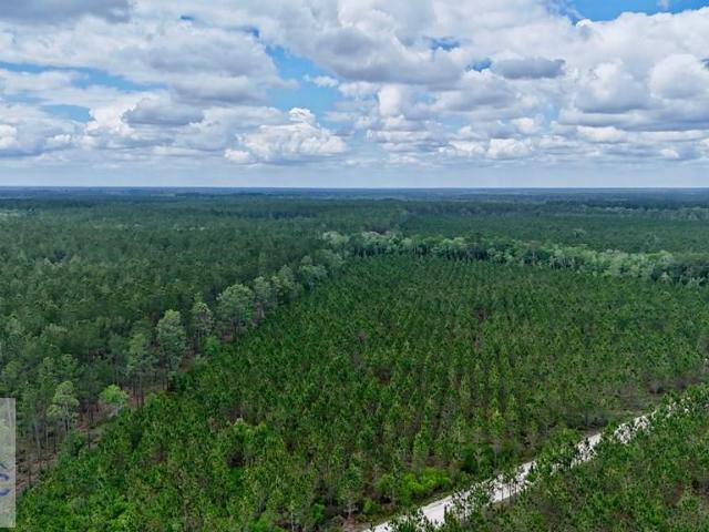 Land for sale in Odum, Georgia