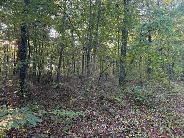 Land for sale in Adairsville, Bartow County