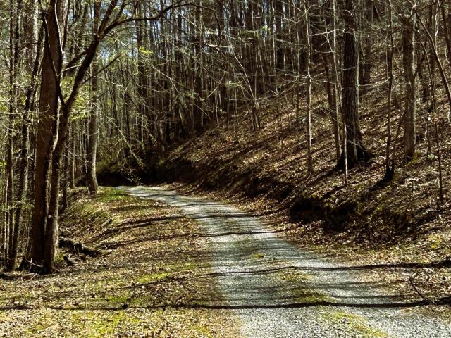 Land for sale in Tennessee