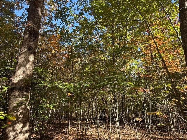 Land for sale in Tennessee