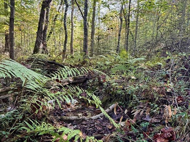 Land for sale in Tennessee