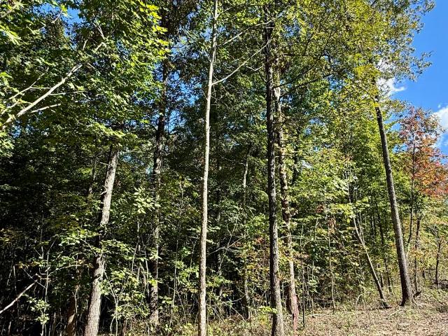 Land for sale in Palmer, Middle Tennessee