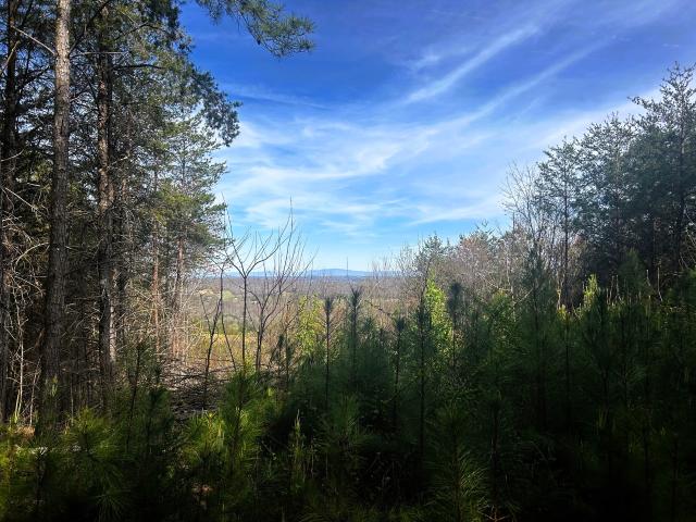 Land for sale in Tennessee