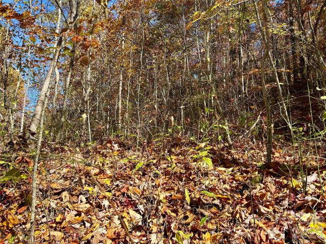 Land for sale in Bryson City, North Carolina