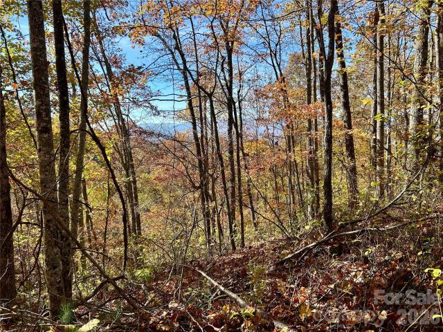 Land for sale in Bryson City, North Carolina