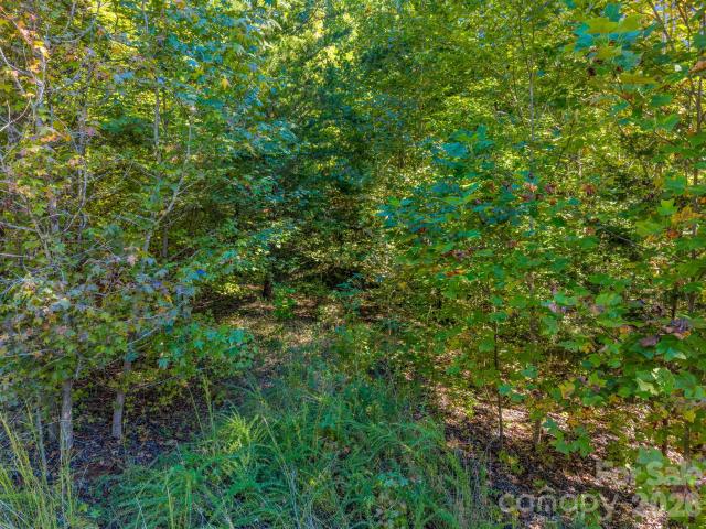 Land for sale in Bostic, Rutherford County