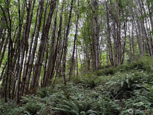 Land for sale in Kelso, Washington
