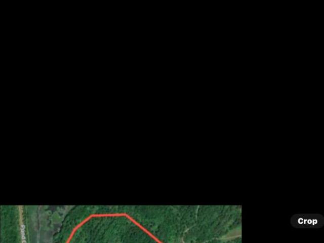 Land for sale in Central City, Kentucky