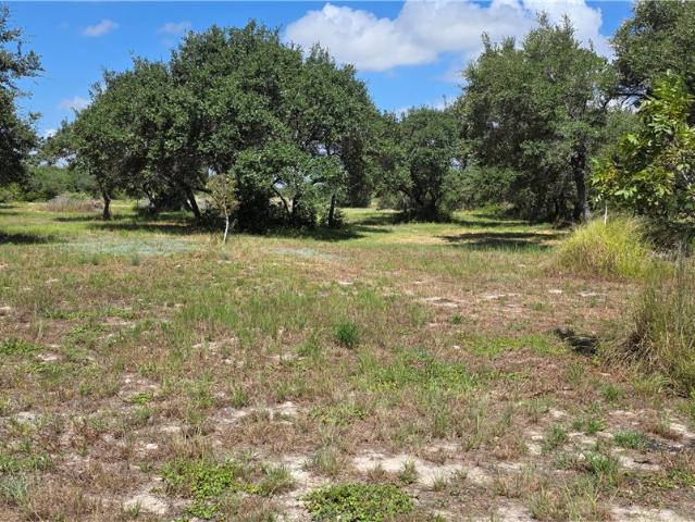 Land for sale in San Patricio, Texas