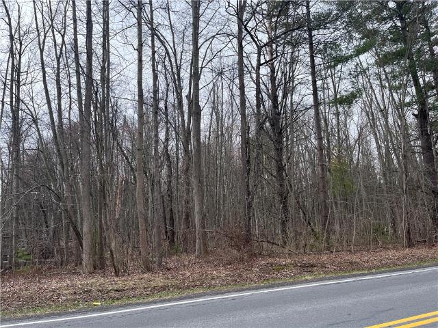 Land for sale in Seneca, New York