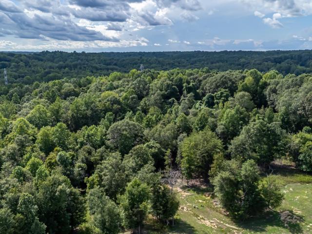 Land for sale in Pacolet, South Carolina