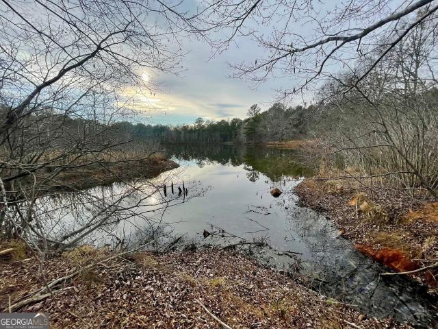 Land for sale in Senoia, Georgia