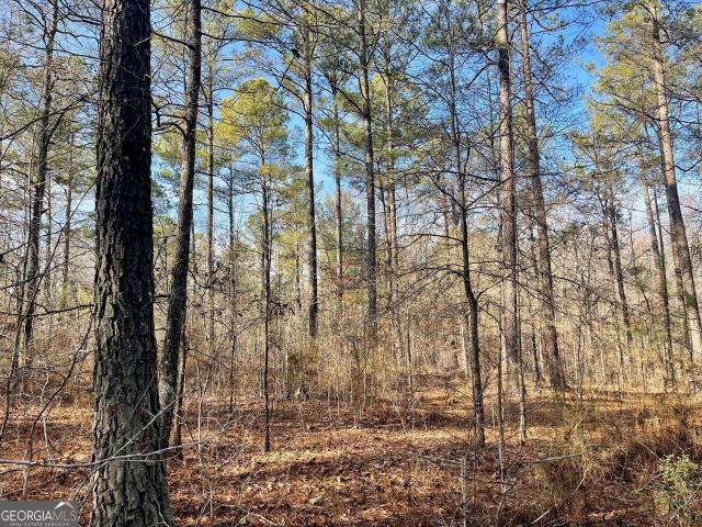 Land for sale in Senoia, Georgia