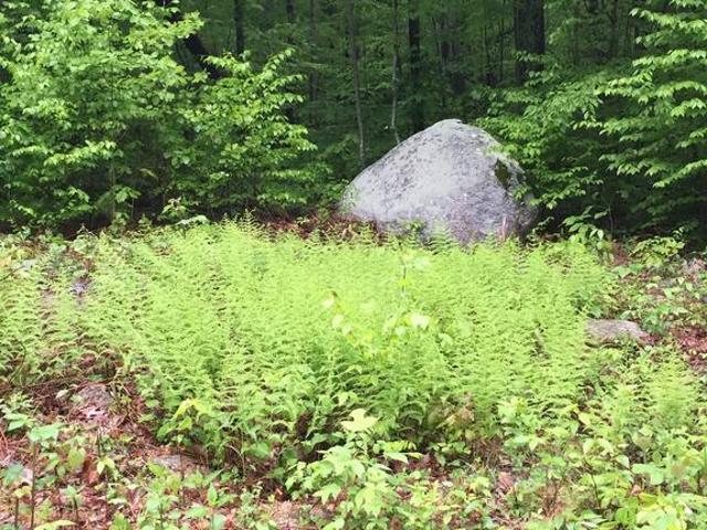 Land for sale in Virginia