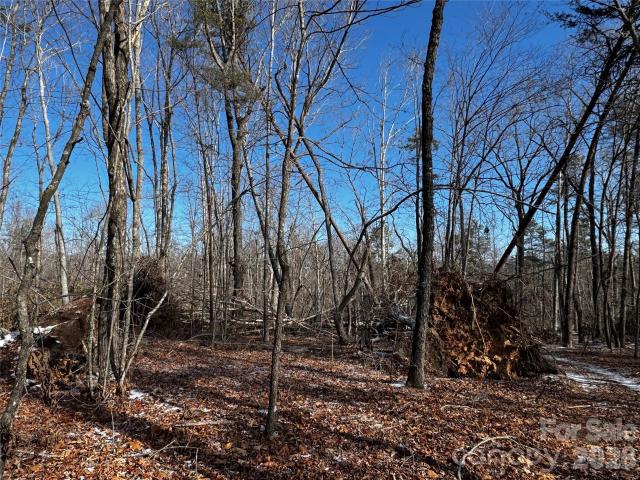Land for sale in Rutherford, North Carolina